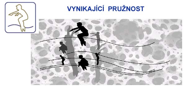 Vynikající pružnost